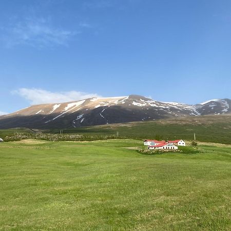 Litla-Sandfell Guesthouse Stora-Sandfell Buitenkant foto